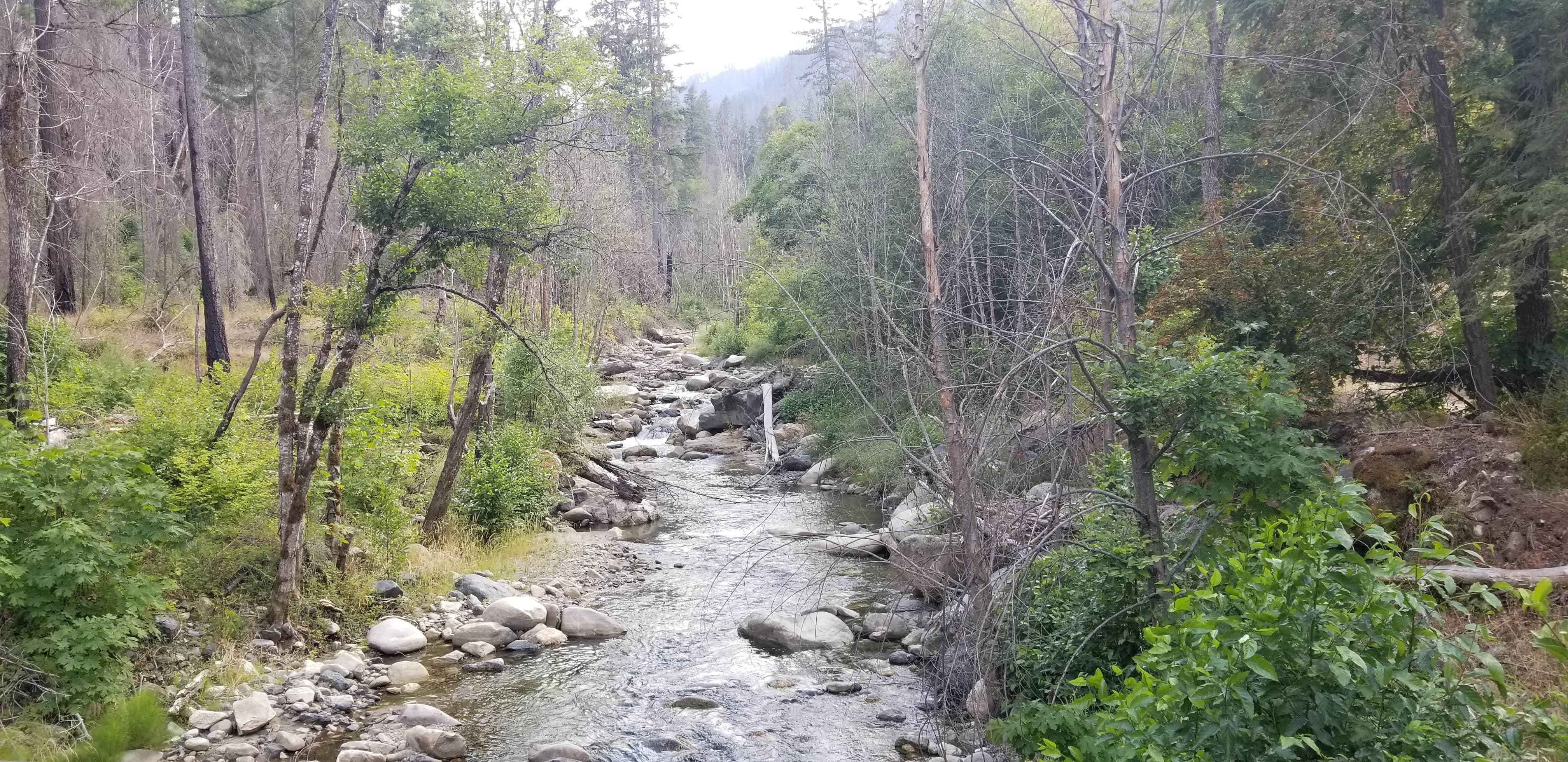 Camper-submitted photo at Grider Creek Campground near Seiad Valley, CA