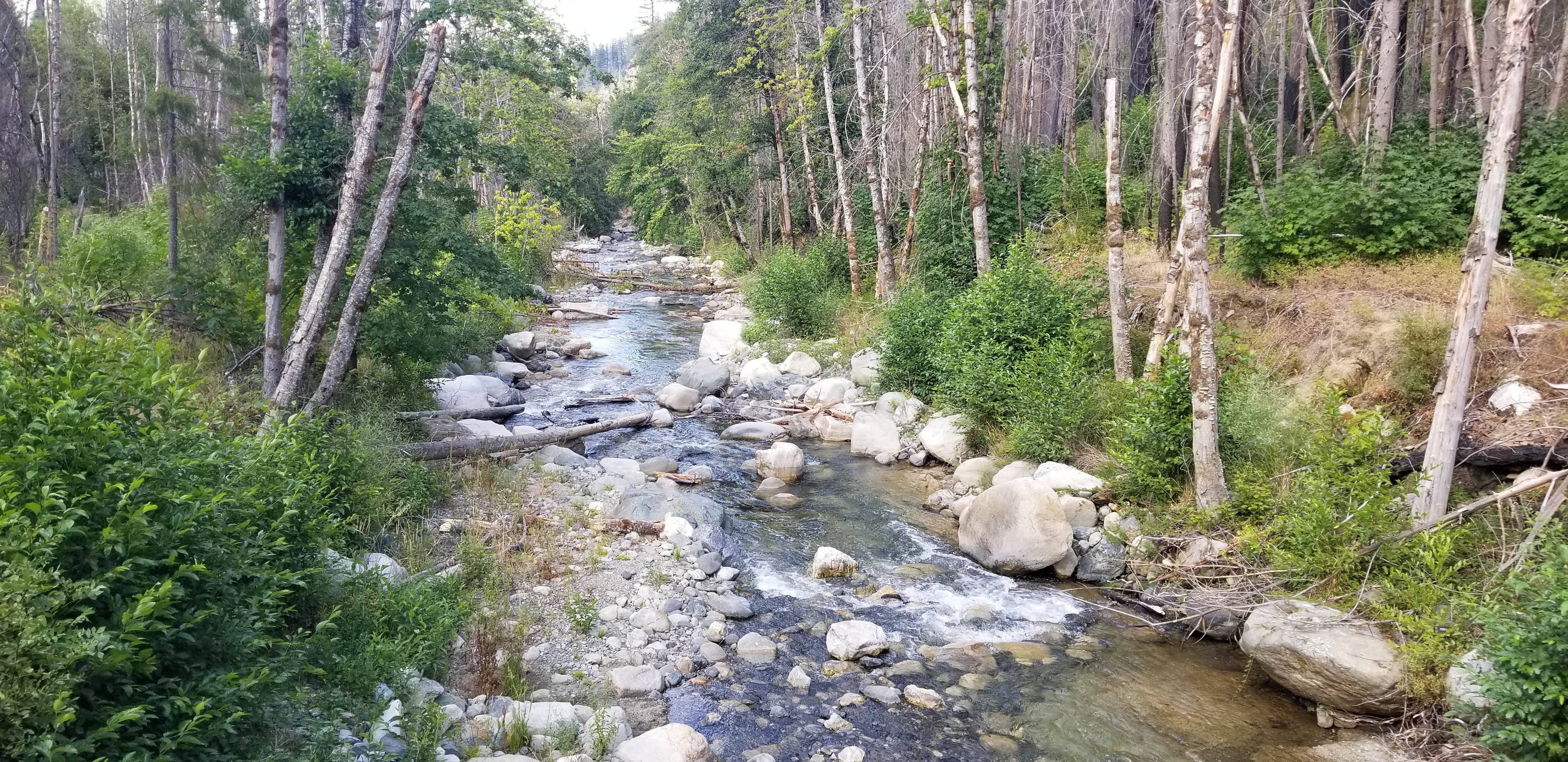 Camper-submitted photo at Grider Creek Campground near Seiad Valley, CA