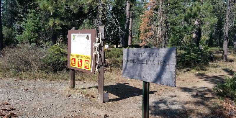 Camper submitted image from Scott Mountain Campground