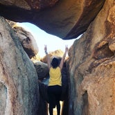 Review photo of Indian Cove Campground — Joshua Tree National Park by Joan F., June 7, 2019