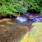 Review photo of Appalachian Campground  by Alicia B., June 7, 2019