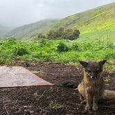Review photo of Santa Cruz Island Scorpion Canyon Campground — Channel Islands National Park by Rachel T., June 7, 2019