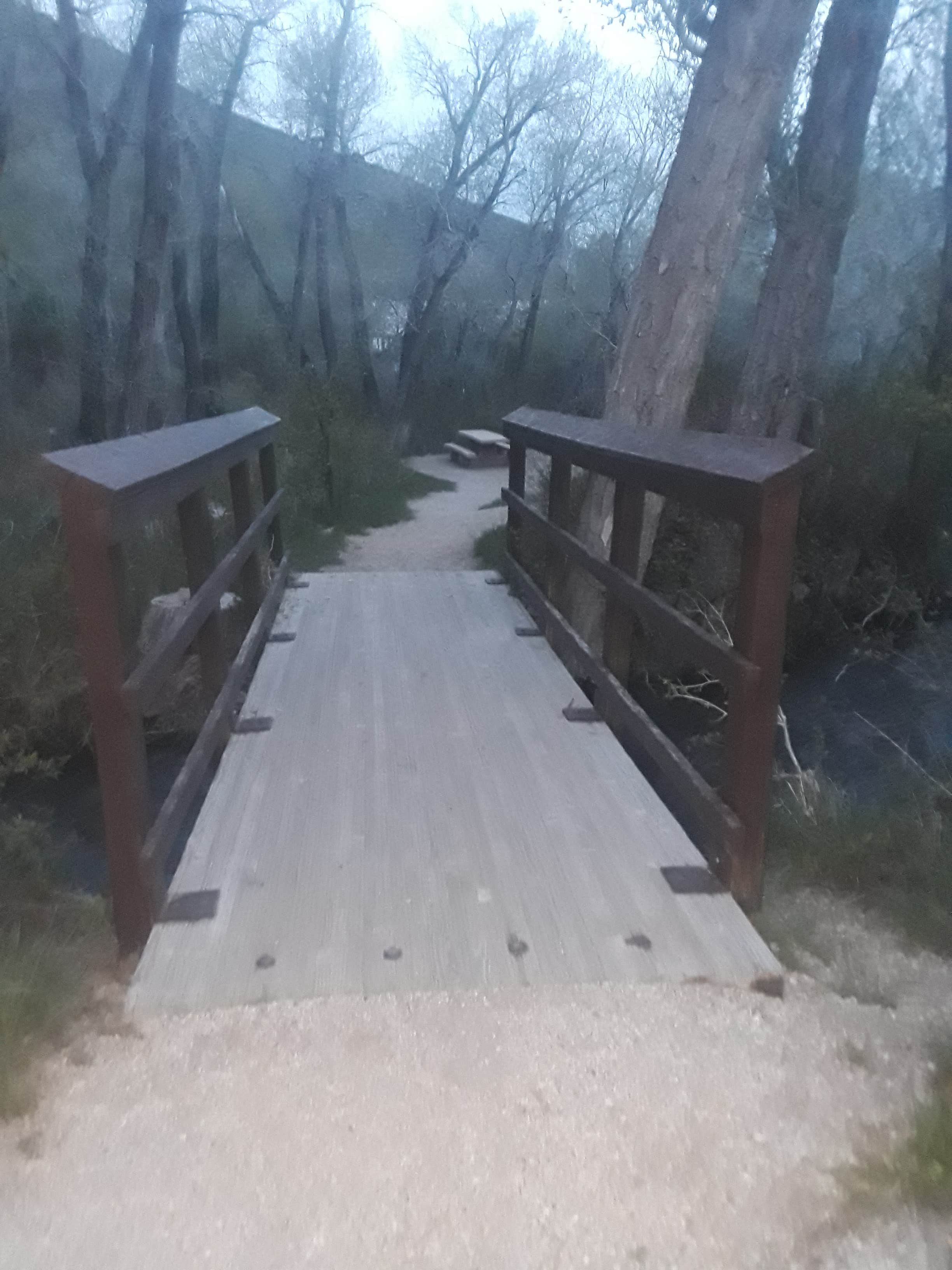 Camper submitted image from Camp Lamoille-Dispersed Camping - 2