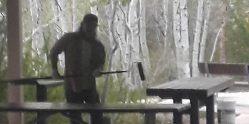 Camper submitted image from Camp Lamoille-Dispersed Camping