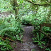 Review photo of Clatsop State Forest Gnat Creek Campground by Tyler D., June 7, 2019