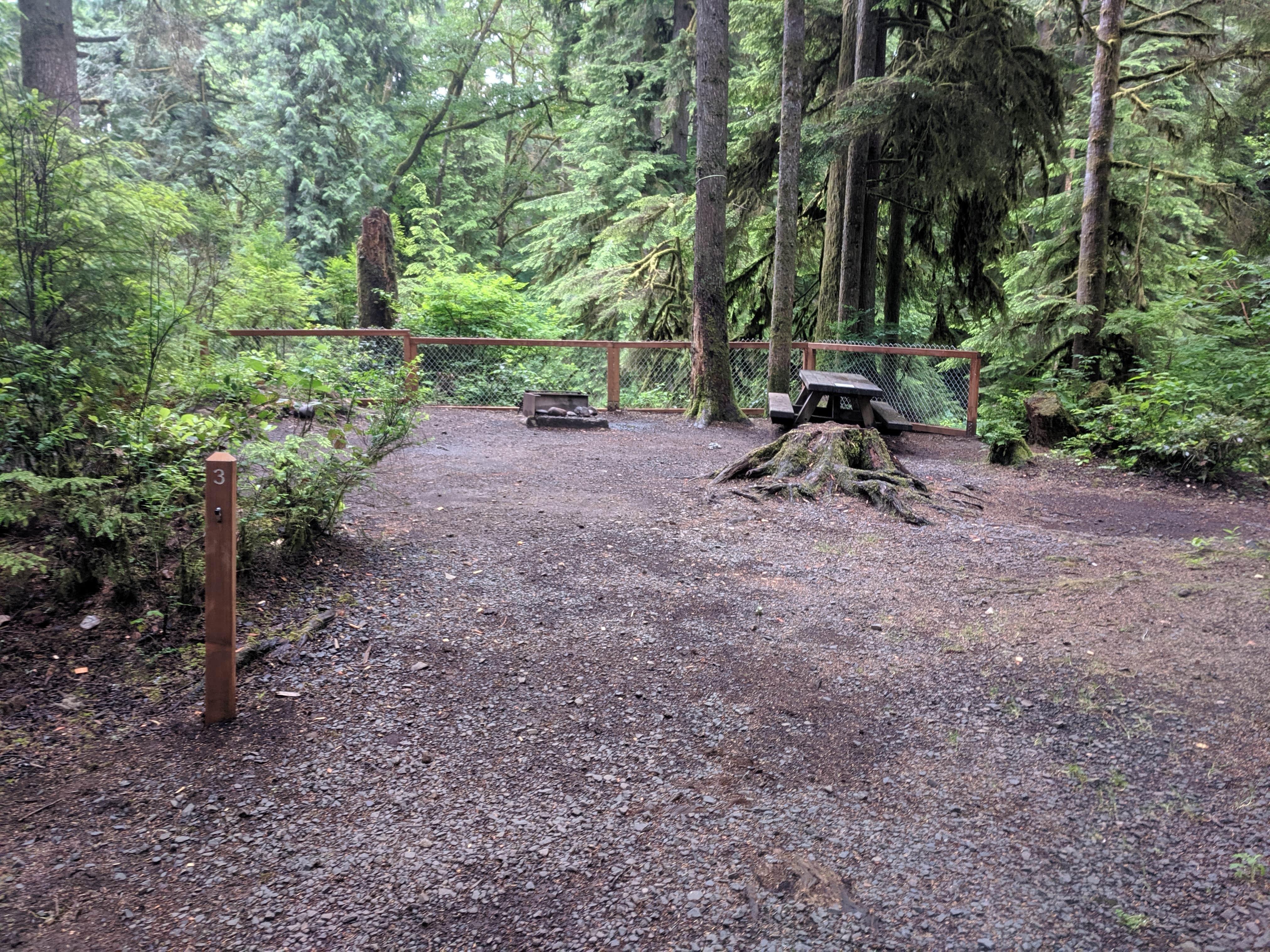 Camper submitted image from Clatsop State Forest Gnat Creek Campground - 5