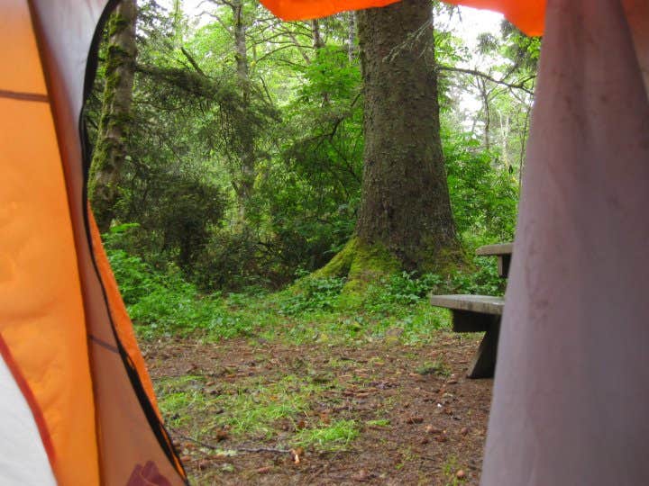 Hayley K.'s photo at Agate Campground — Sue-meg State Park near McKinleyville, CA