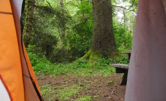 Hayley K.'s photo at Agate Campground — Sue-meg State Park near McKinleyville, CA