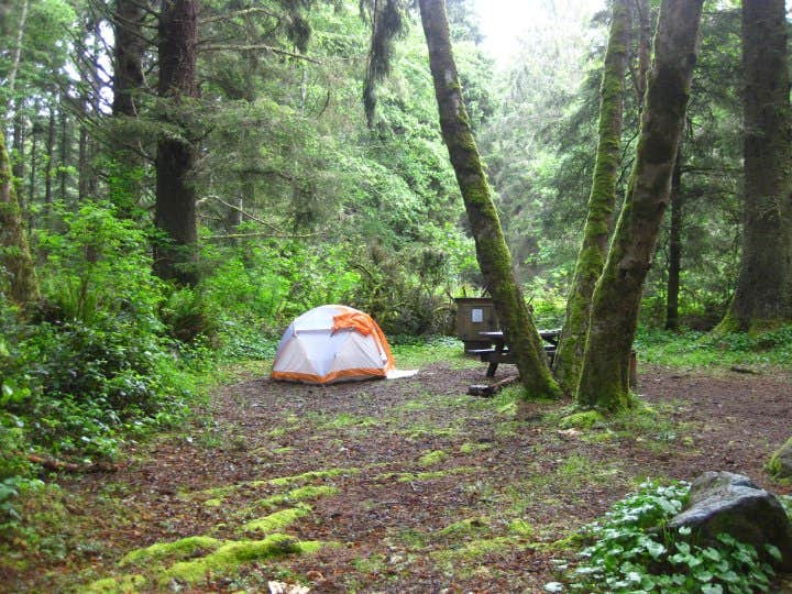 Hayley K.'s photo at Agate Campground — Sue-meg State Park near Arcata, CA