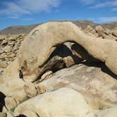 Review photo of White Tank Campground — Joshua Tree National Park by Hayley K., June 7, 2019