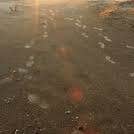 Camper-submitted photo at Galveston Island State Park Campground near Richwood, TX