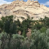 Review photo of Green River Campground — Dinosaur National Monument by Myrna G., June 7, 2019