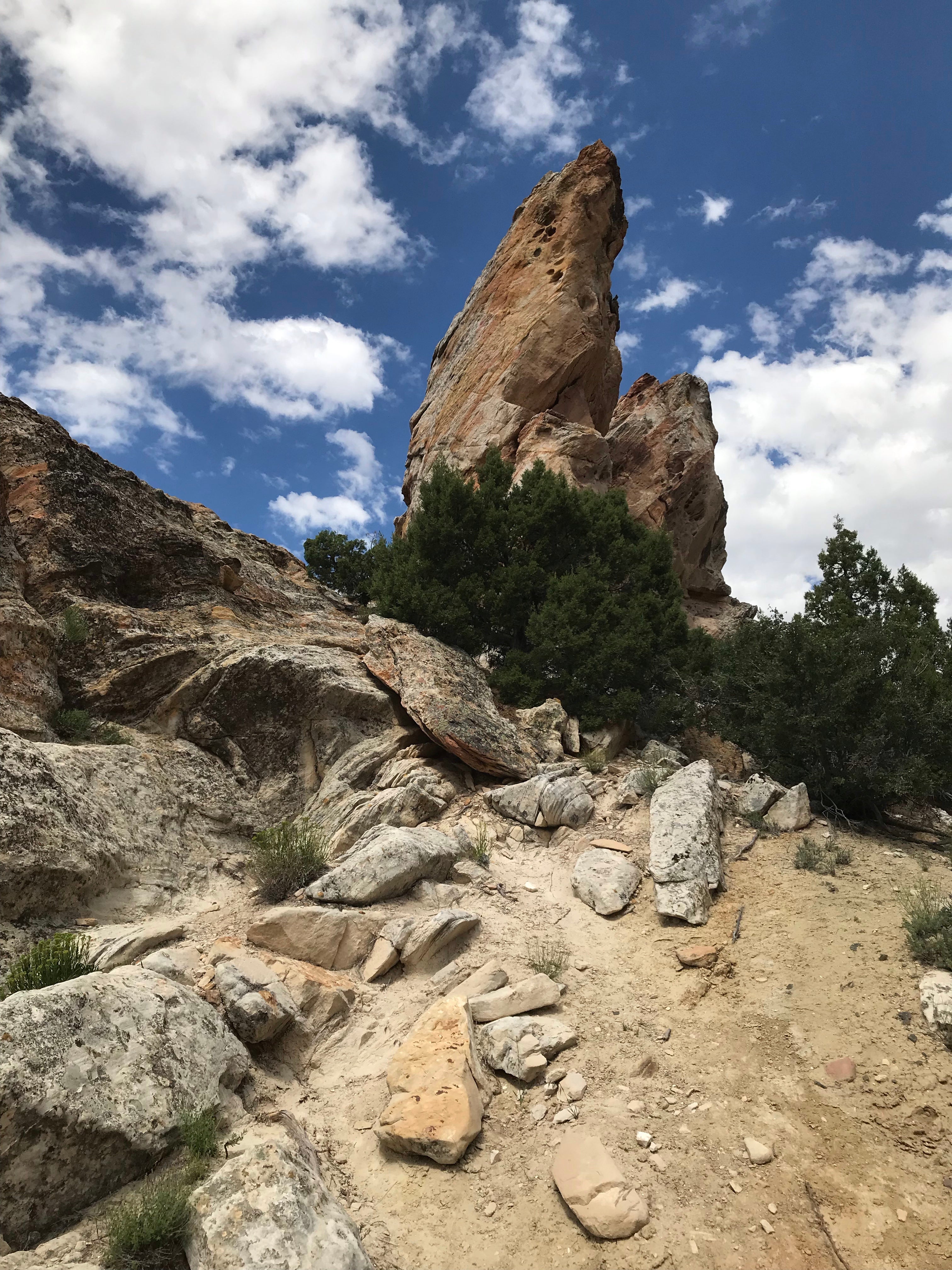 Camper submitted image from Green River Campground — Dinosaur National Monument - 4