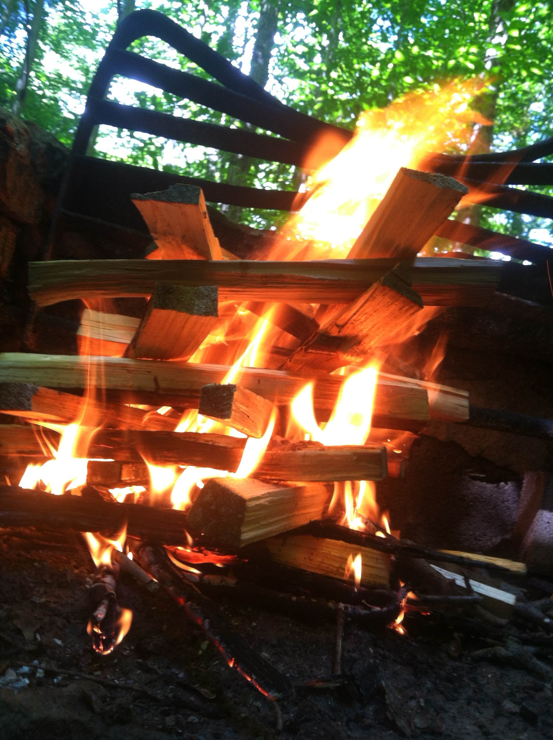 Camper submitted image from Lake Eaton Campground - 2