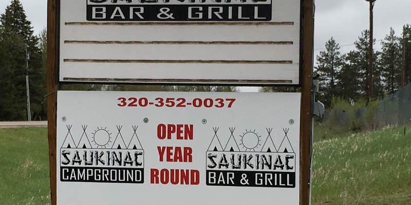 Camper submitted image from Saukinac Campground