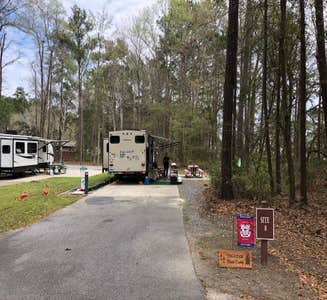 Camper-submitted photo from Cypress View Campground — Santee State Park