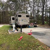 Review photo of Military Park Joint Base Charleston Outdoor Recreation Center by Erin S., June 8, 2019