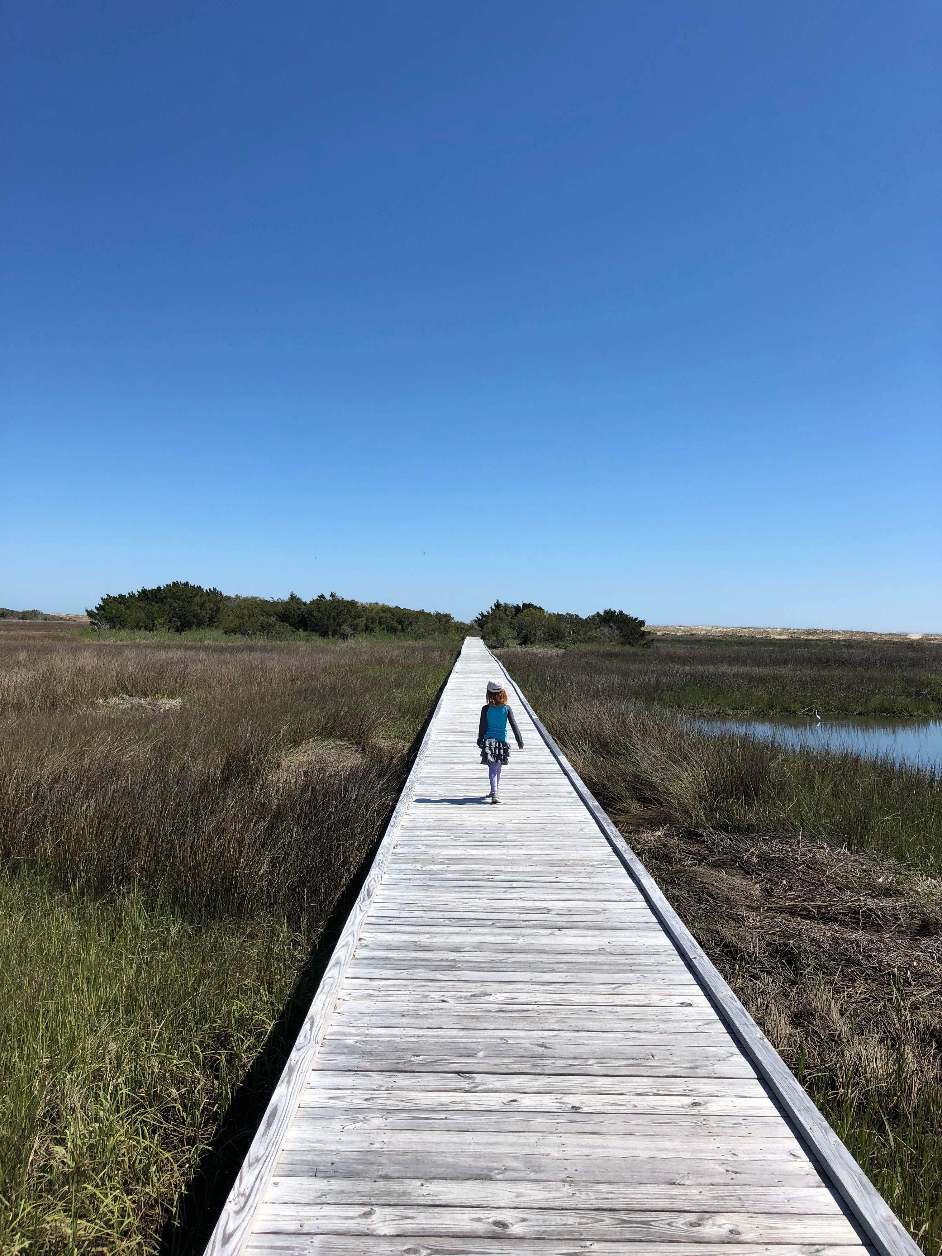 Walking the trails at Ft Fisher Rec Area.