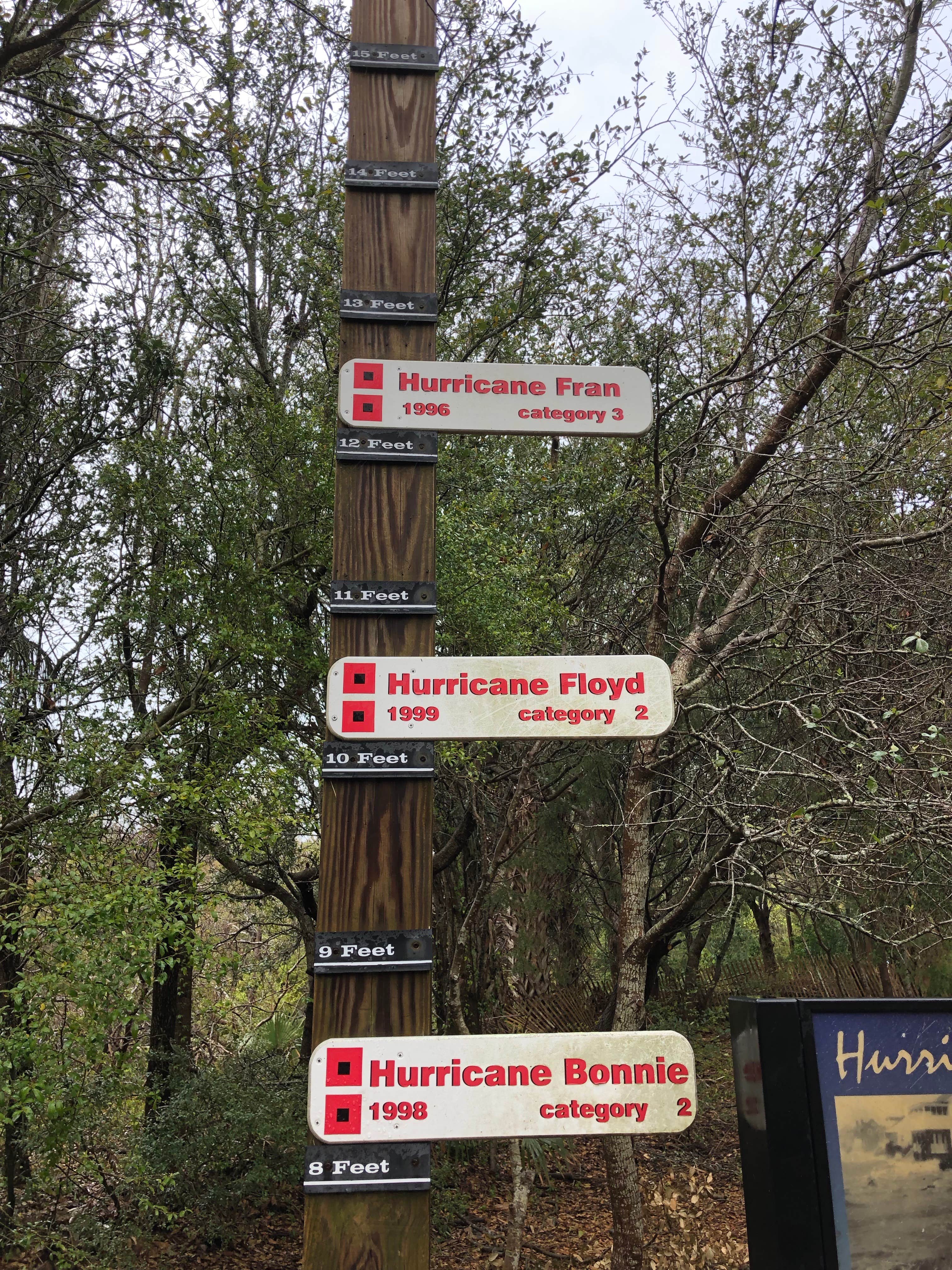 Time your visit to this area to not coincide with the hurricane season. These are flood levels.