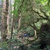 Review photo of Mill Creek Campground — Del Norte Coast Redwoods State Park by Alesandra L., August 31, 2016