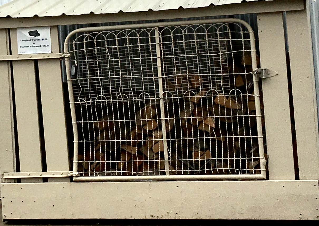 Janet R.'s photo of camping with pets at Sinclair Lewis City Campground near Melrose, MN