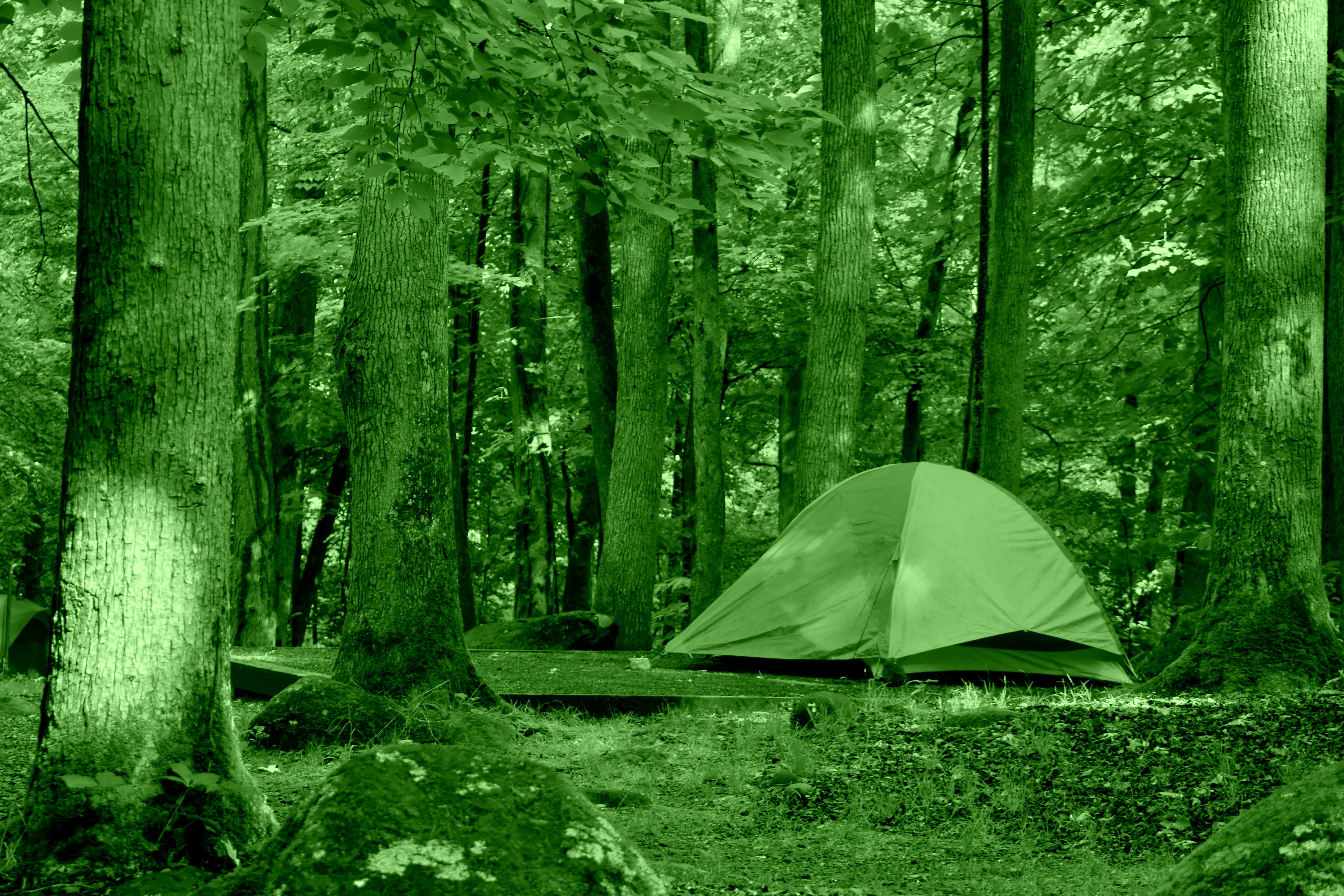 Myron C.'s photo of tent camping at Big Creek Campground — Great Smoky Mountains National Park near Talbott, TN