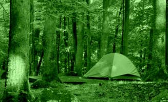 Myron C.'s photo at Big Creek Campground — Great Smoky Mountains National Park near Hartford, TN
