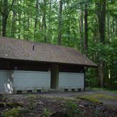 Review photo of Big Creek Campground — Great Smoky Mountains National Park by Myron C., June 8, 2019