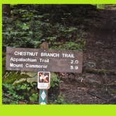 Review photo of Big Creek Campground — Great Smoky Mountains National Park by Myron C., June 8, 2019