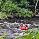 Review photo of Big Creek Campground — Great Smoky Mountains National Park by Myron C., June 8, 2019