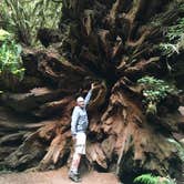 Review photo of Mill Creek Campground — Del Norte Coast Redwoods State Park by Alesandra L., August 31, 2016