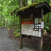 Review photo of Big Creek Campground — Great Smoky Mountains National Park by Myron C., June 8, 2019