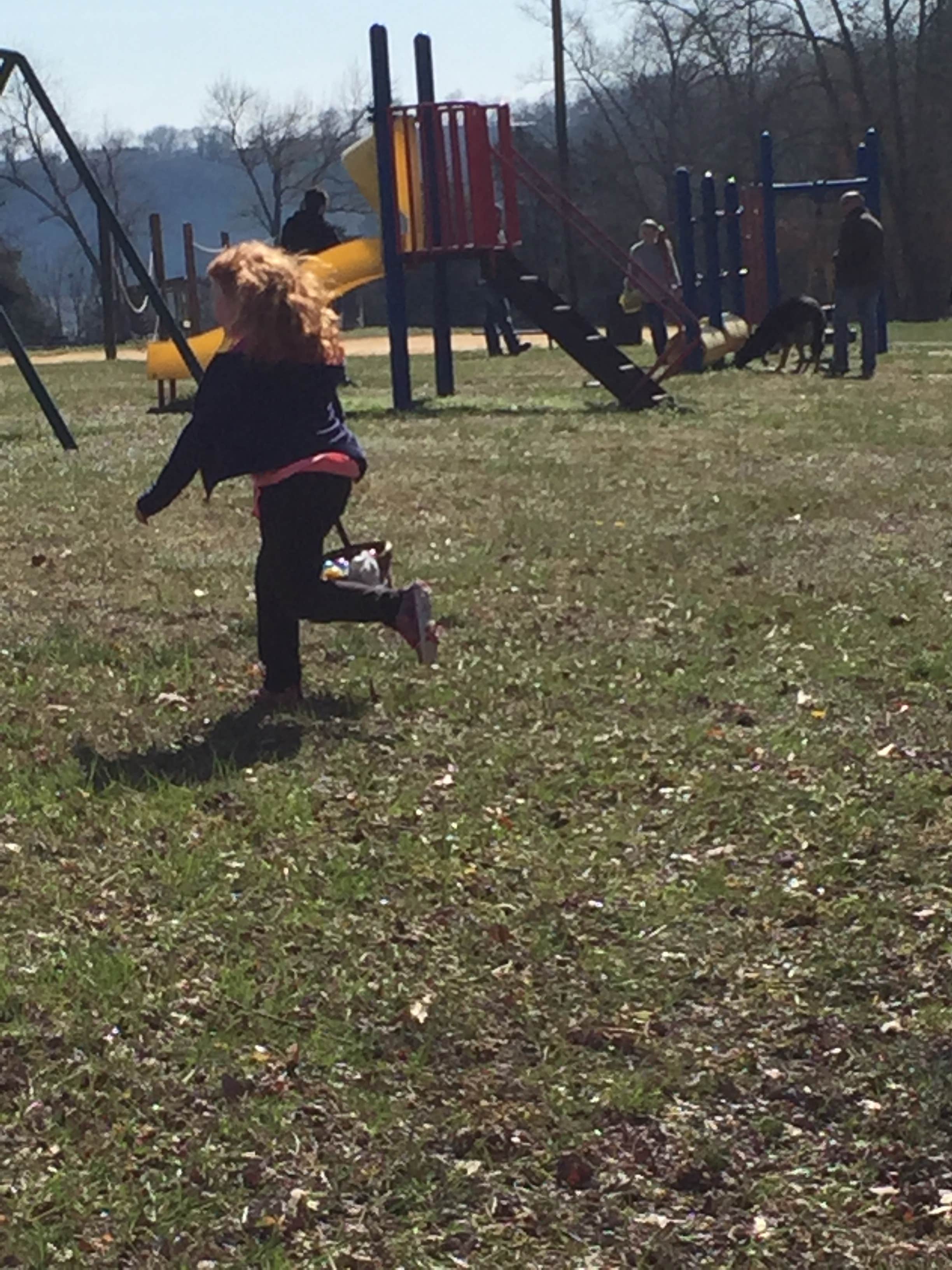 Camper submitted image from Pulaski County Park - 4