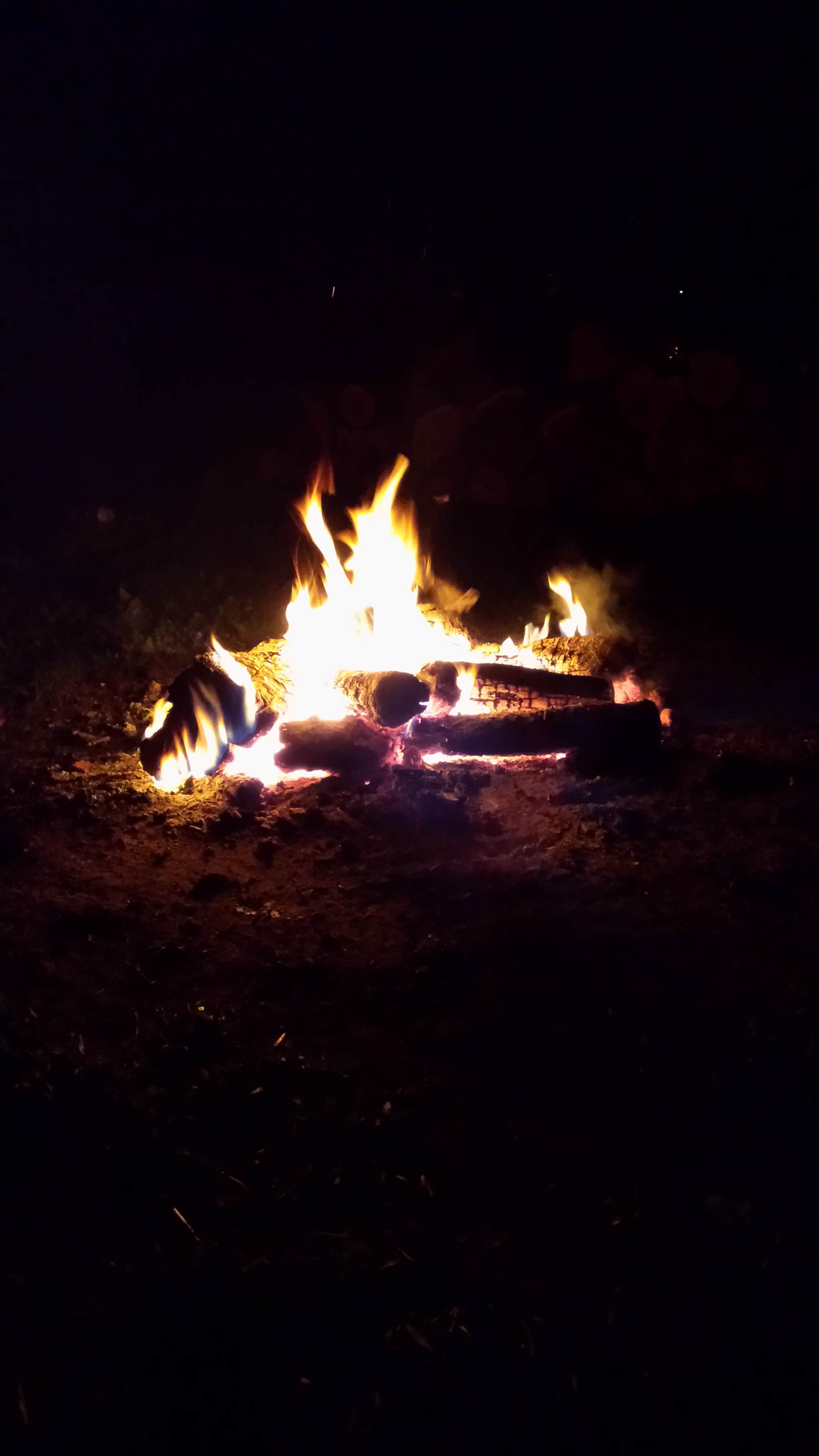 Camper submitted image from Pulaski County Park - 5