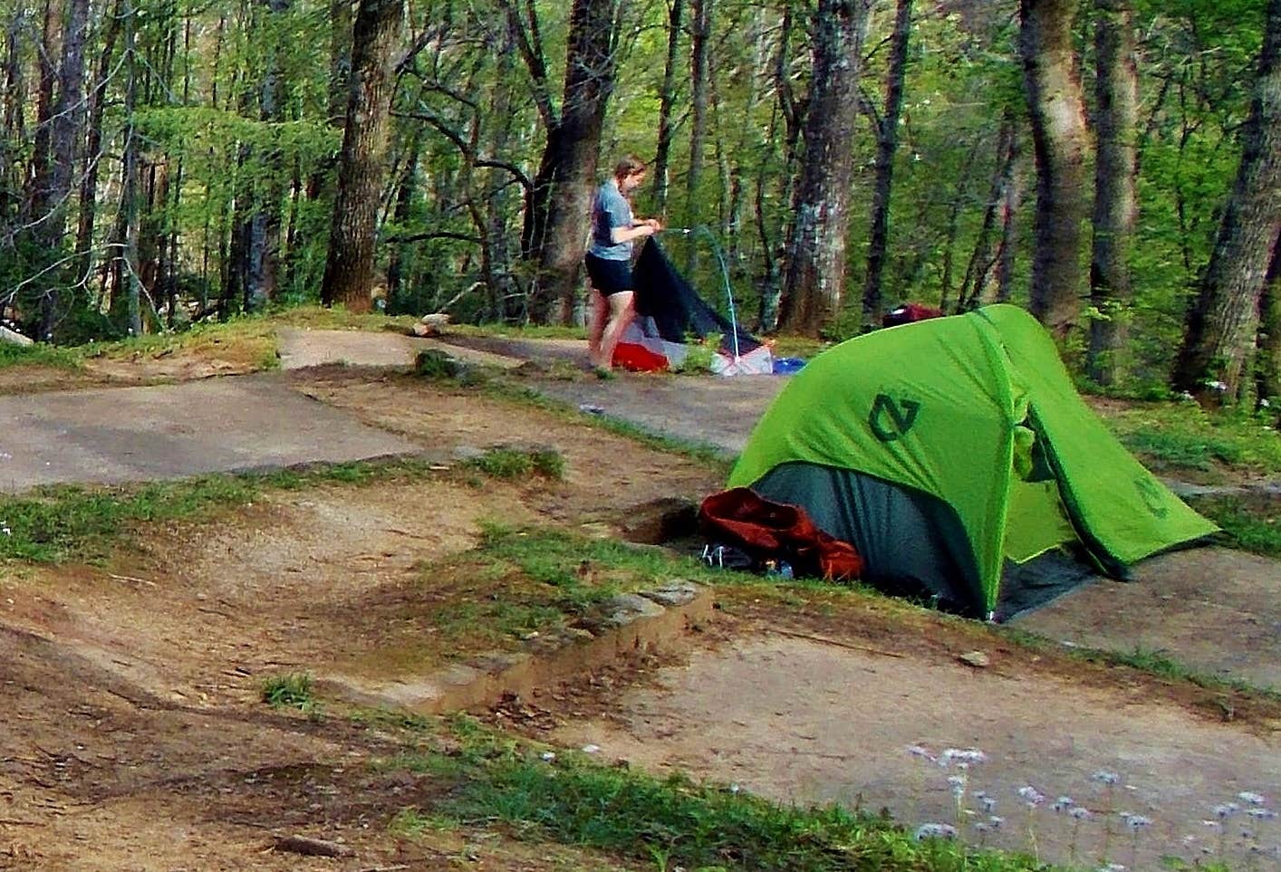 Camper submitted image from Fontana Hilton Trail Shelter -- AT trail shelter - 4