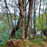 Review photo of Fontana Hilton Trail Shelter -- Nantahala National Forest by Myron C., June 8, 2019