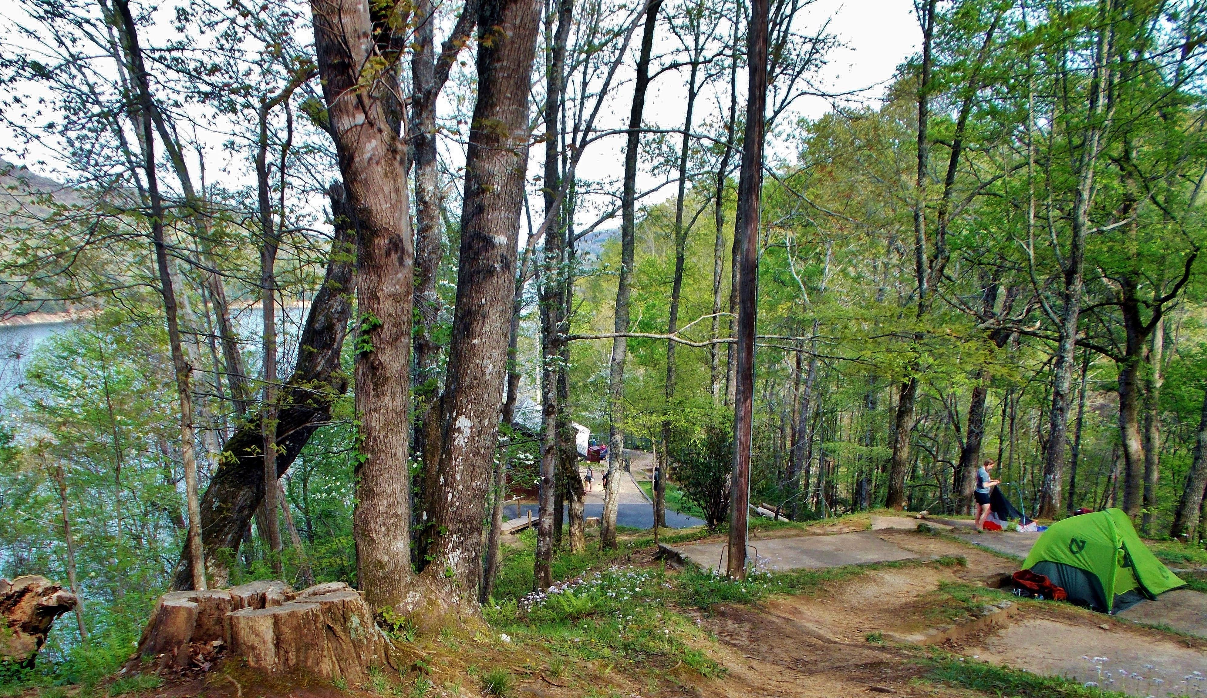 Camper submitted image from Fontana Hilton Trail Shelter -- Nantahala National Forest - 5