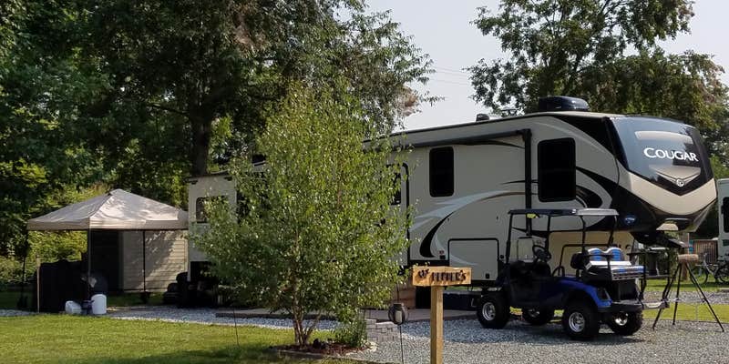 Camper submitted image from Riverbrook RV & Camping Resort