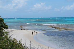 Camper submitted image from Sand Island State Recreation Area - 2