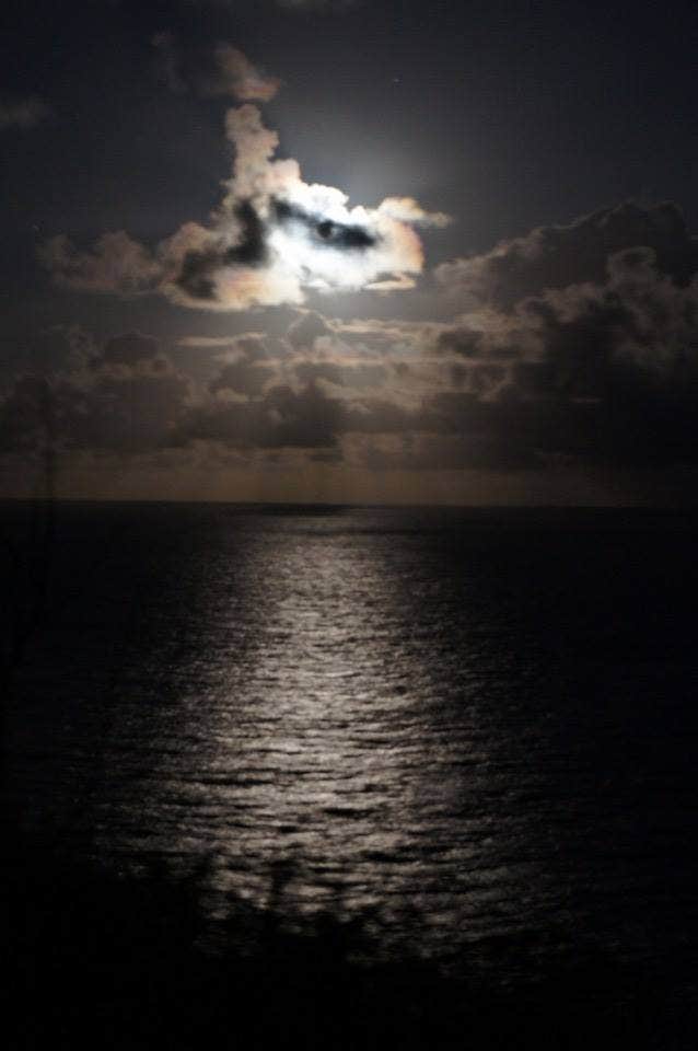 Camper submitted image from Keaīwa Heiau State Recreation Area - 2