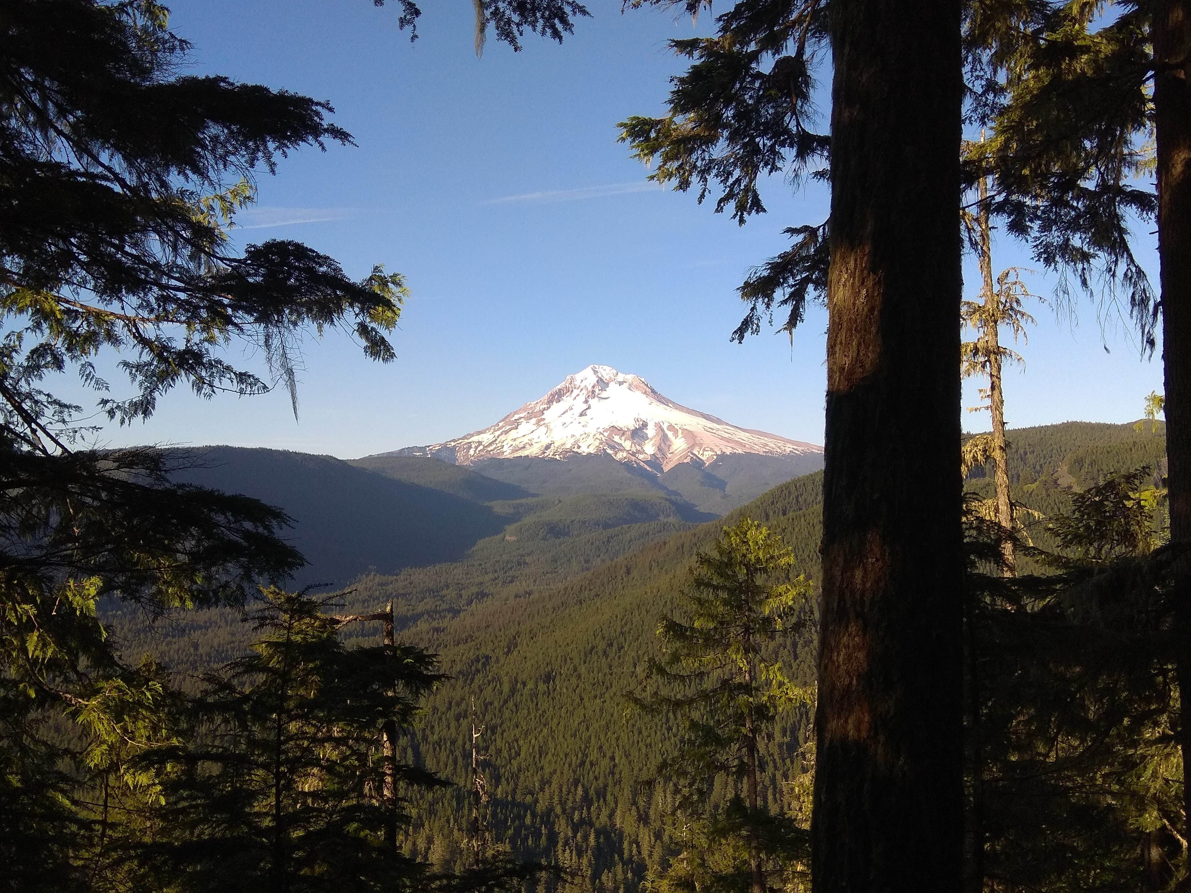 Camper-submitted photo at Devil's Peak Lookout near Government Camp, OR