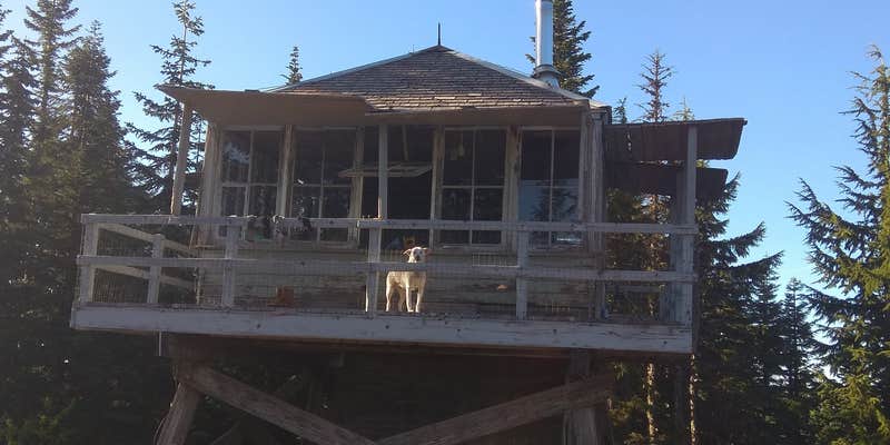 Camper submitted image from Devil's Peak Lookout