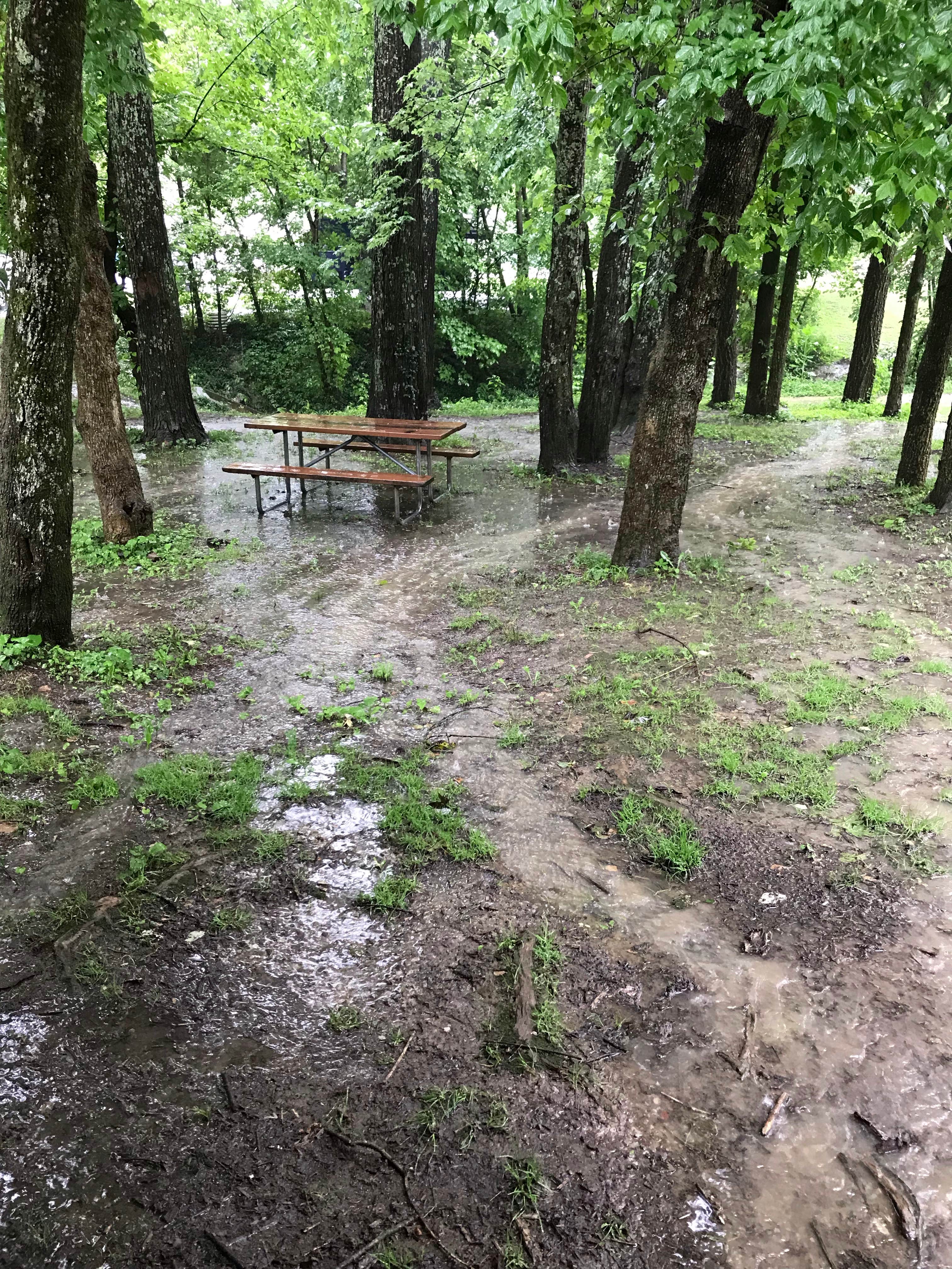 Camper-submitted photo at Fort Boonesborough State Park Campground near Lexington, KY