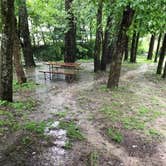 Review photo of Fort Boonesborough State Park by Crystal H., June 8, 2019