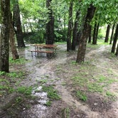 Review photo of Fort Boonesborough State Park Campground by Crystal H., June 8, 2019