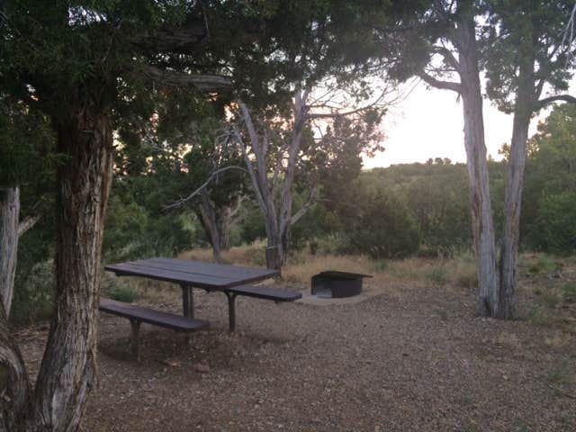 Camper submitted image from McPhee Campground - 2