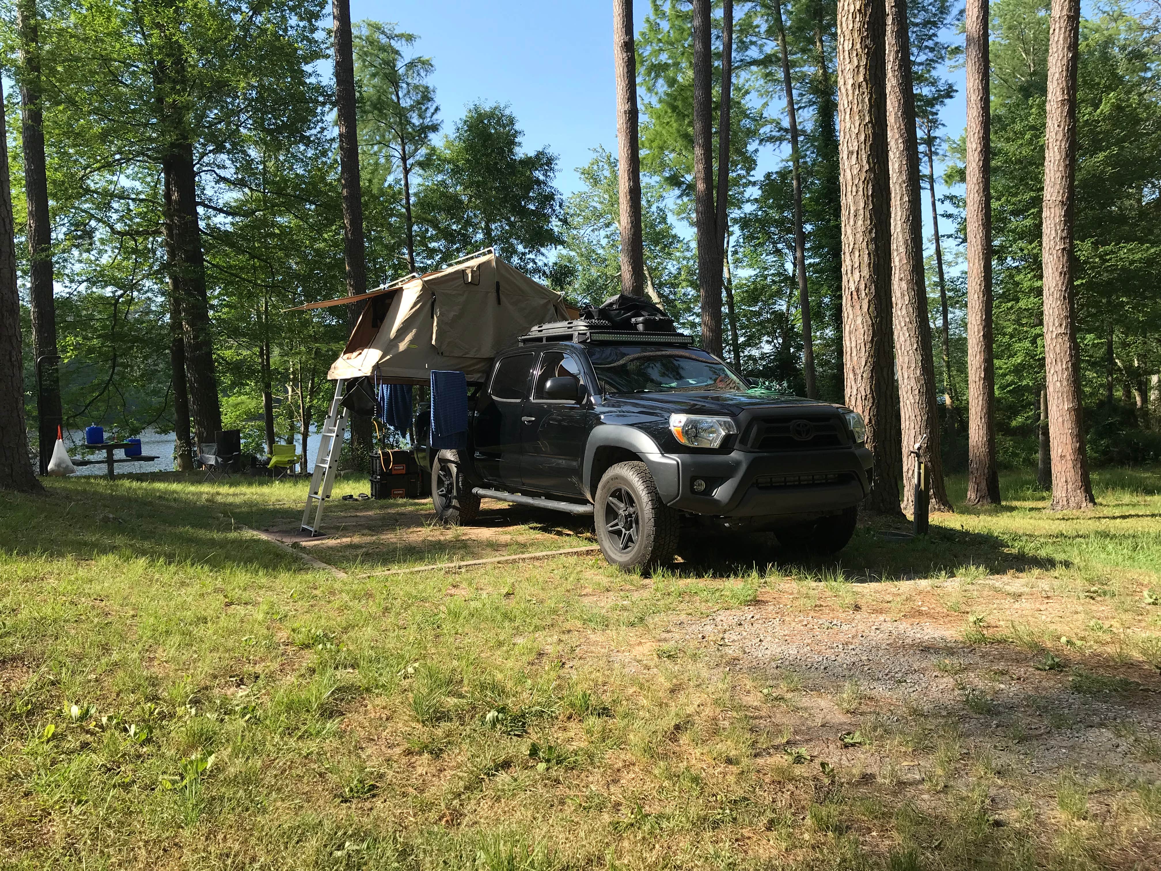 Camper-submitted photo at Payne Lake West Side near Marion Junction, AL