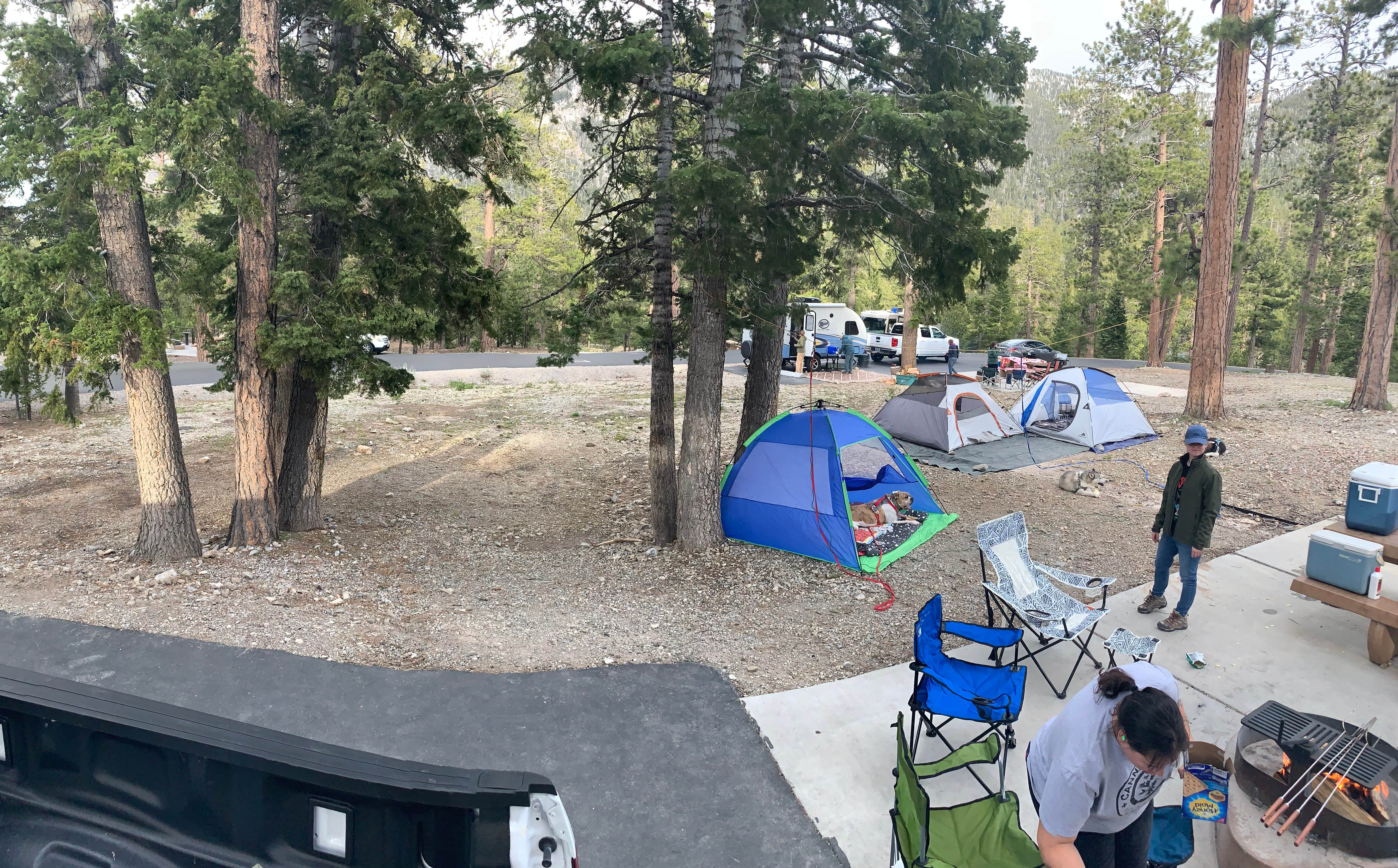 Victor P.'s photo at McWilliams Campground near Blue Diamond, NV
