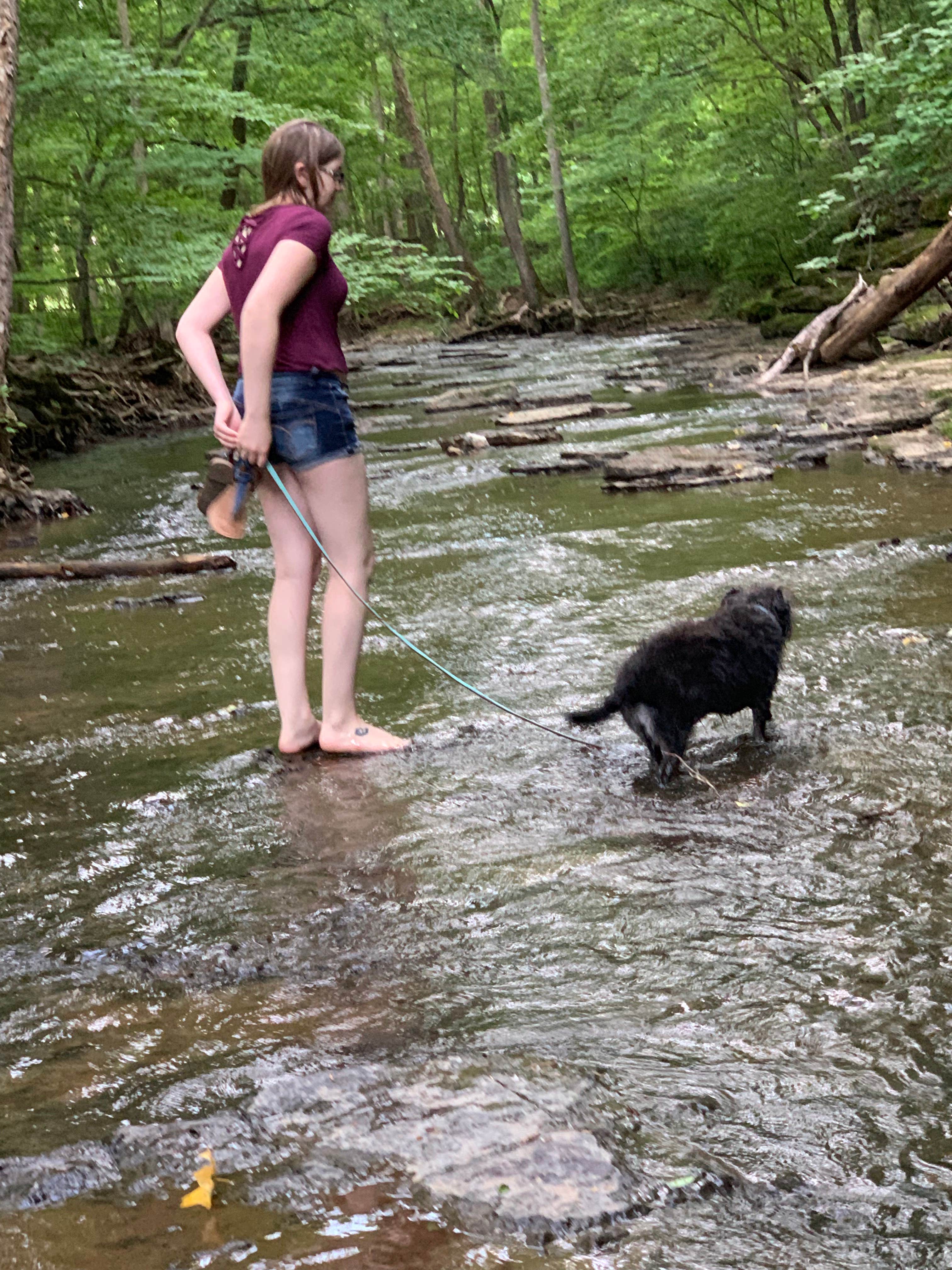 Patti C.'s photo of camping with pets at Montgomery Bell State Park Campground near Spring Hill, TN