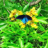 Review photo of Fort Cobb State Park by Kelly B., June 9, 2019